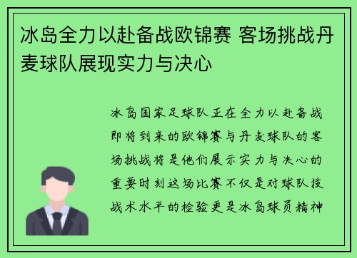 冰岛全力以赴备战欧锦赛 客场挑战丹麦球队展现实力与决心
