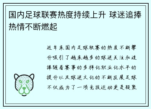 国内足球联赛热度持续上升 球迷追捧热情不断燃起