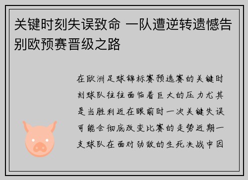 关键时刻失误致命 一队遭逆转遗憾告别欧预赛晋级之路