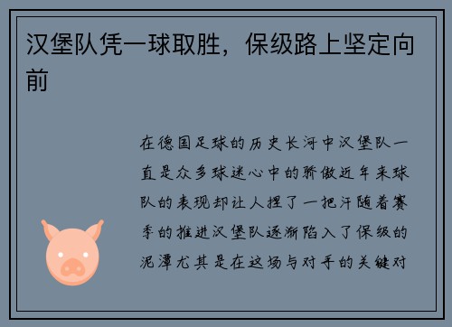 汉堡队凭一球取胜，保级路上坚定向前